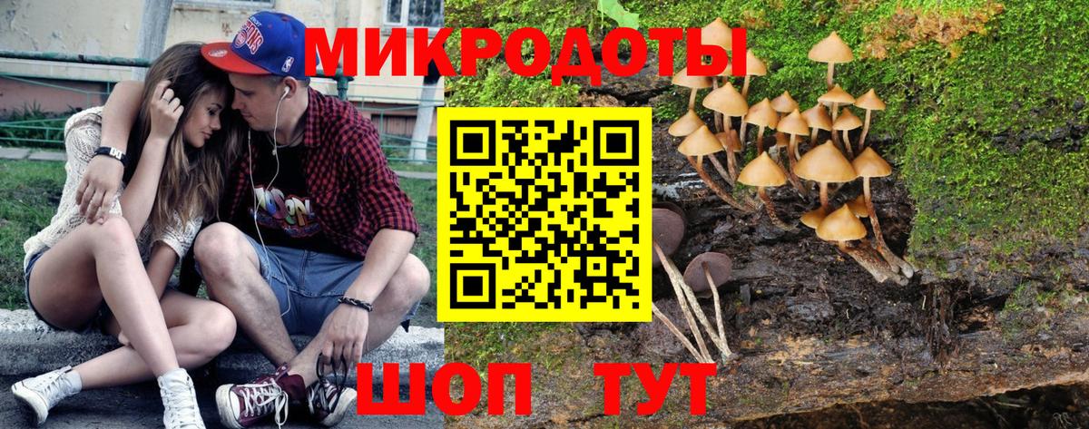 Симферополь  Псилоцибиновые грибы прущие грибы  Вход с VPN 